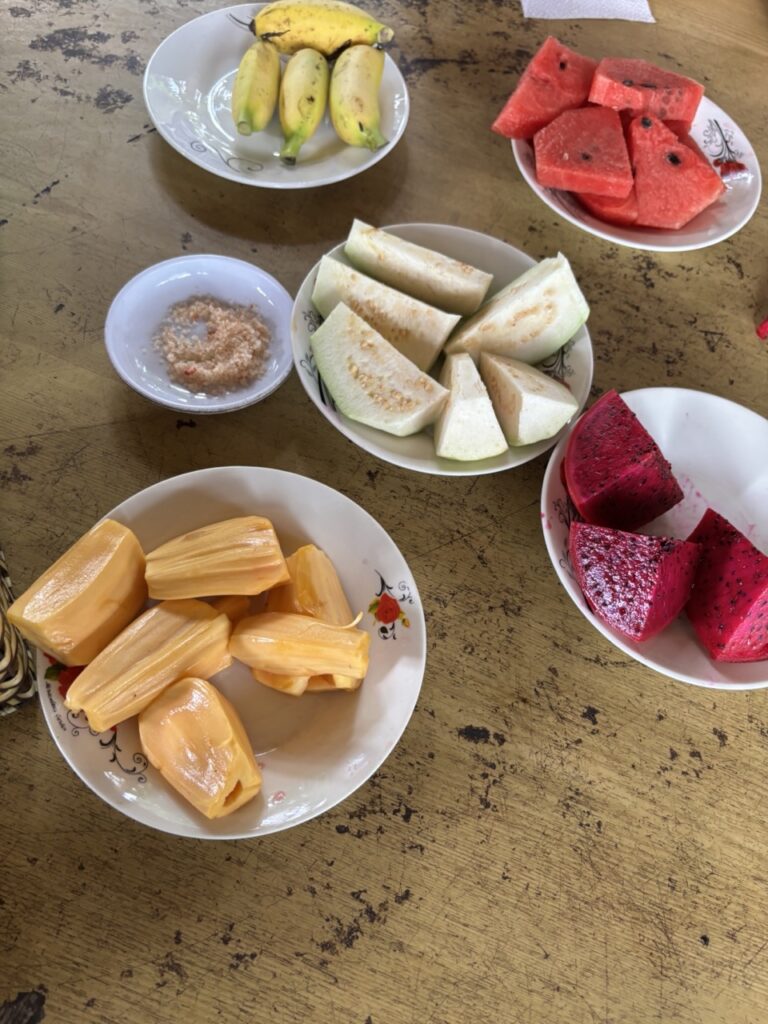 ein kleiner fruchtiger SnackWassermelone, Drachenfrucht, Jackfrucht, Guave und Bananen
