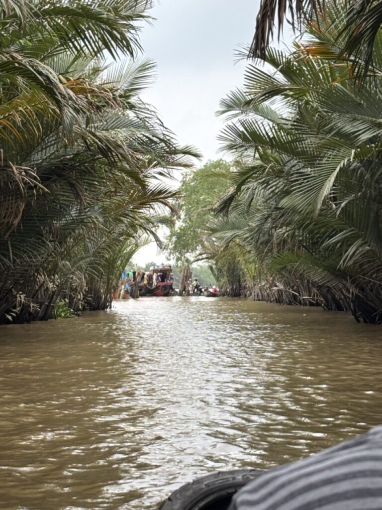 die Flusstour durch den Mekongfluss
